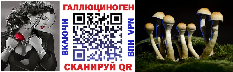 Псилоцибиновые грибы MAGIC MUSHROOMS нарко площадка клад Новосиль где продают наркотики