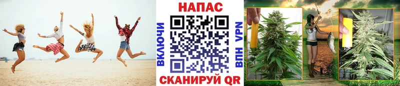 сколько стоит  Новосиль  Марихуана гибрид 