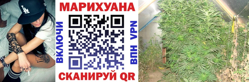 Каннабис марихуана Новосиль